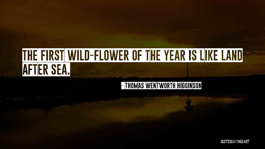 Mesiano Quotes By Thomas Wentworth Higginson Mesiano Quotes By Thomas Wentworth Higginson