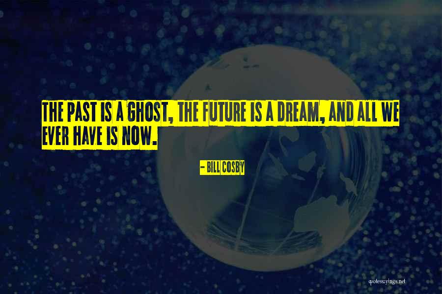 Mesirow Chicago Quotes By Bill Cosby