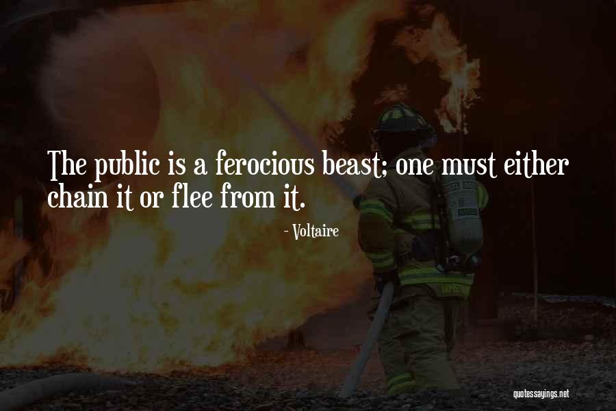 Meskita Quotes By Voltaire Meskita Quotes By Voltaire