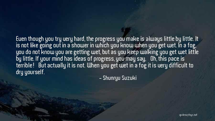 Mesmeric Fiend Quotes By Shunryu Suzuki Mesmeric Fiend Quotes By Shunryu Suzuki