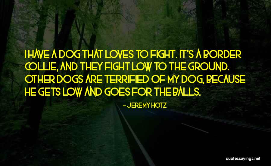 Mesner Puppet Quotes By Jeremy Hotz Mesner Puppet Quotes By Jeremy Hotz