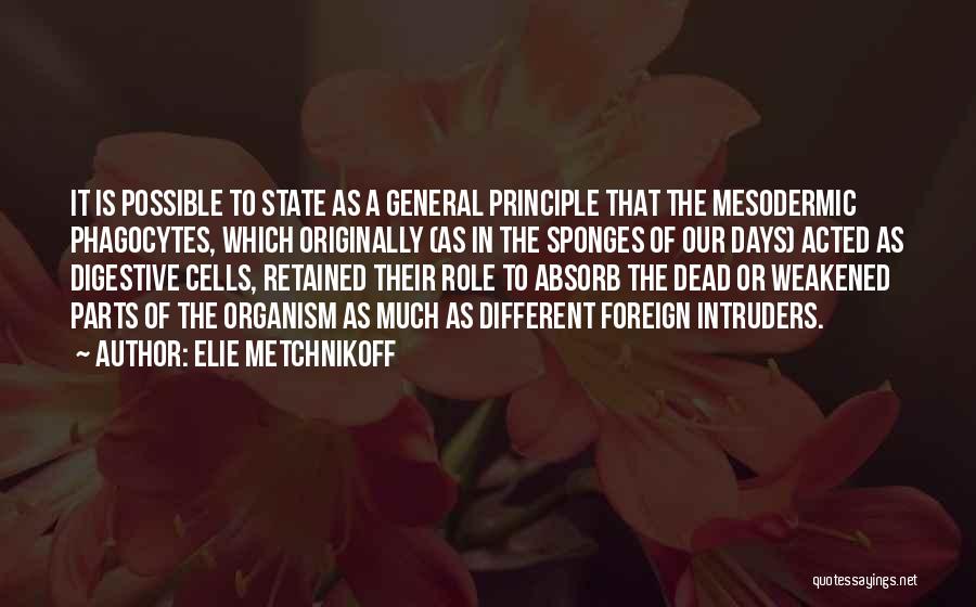 Mesodermic Quotes By Elie Metchnikoff