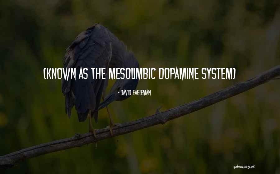 Mesolimbic Quotes By David Eagleman Mesolimbic Quotes By David Eagleman