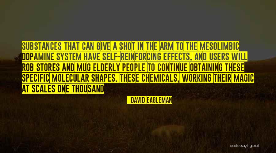 Mesolimbic Quotes By David Eagleman Mesolimbic Quotes By David Eagleman