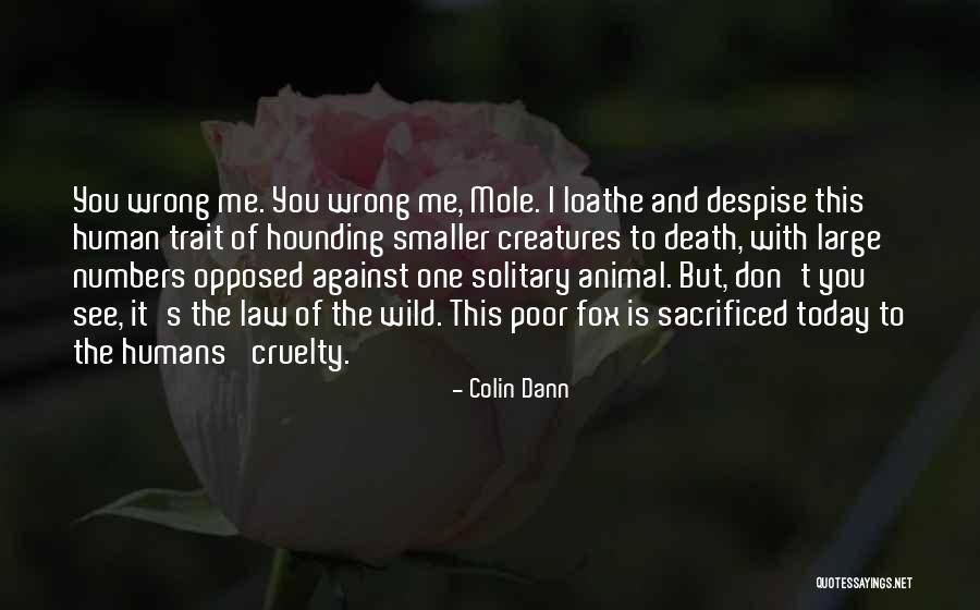 Mesolimbic System Quotes By Colin Dann Mesolimbic System Quotes By Colin Dann