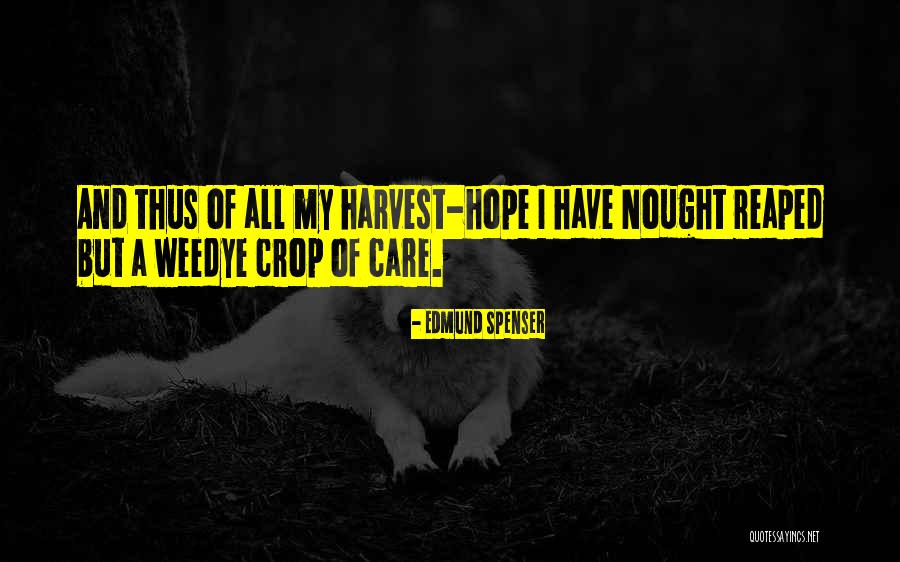 Message Boards Quotes By Edmund Spenser