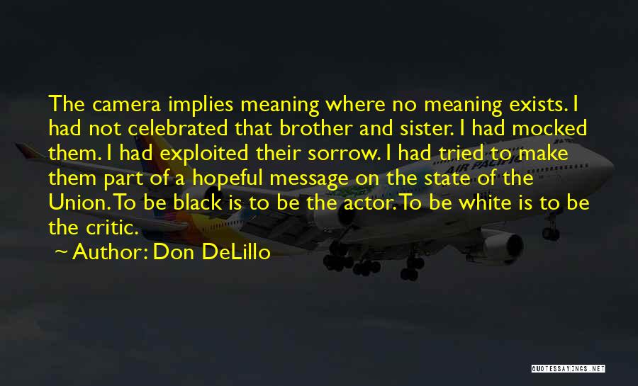 Message For Sister Quotes By Don DeLillo