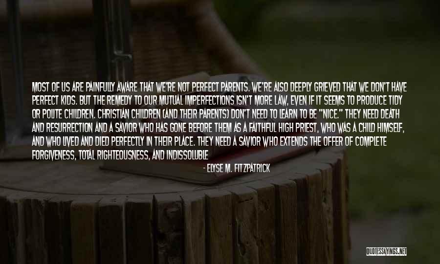 Message Heart Quotes By Elyse M. Fitzpatrick