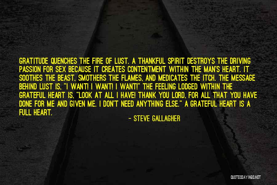 Message Heart Quotes By Steve Gallagher