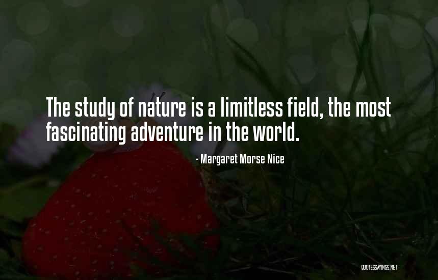 Messages From Hummingbirds Quotes By Margaret Morse Nice Messages From Hummingbirds Quotes By Margaret Morse Nice