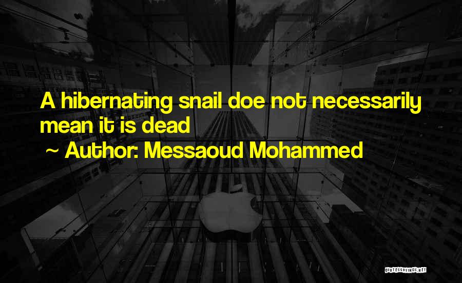 Messaoud Mohammed Quotes 232089