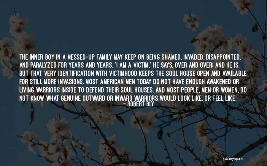 Messed Up Inside Quotes By Robert Bly Messed Up Inside Quotes By Robert Bly