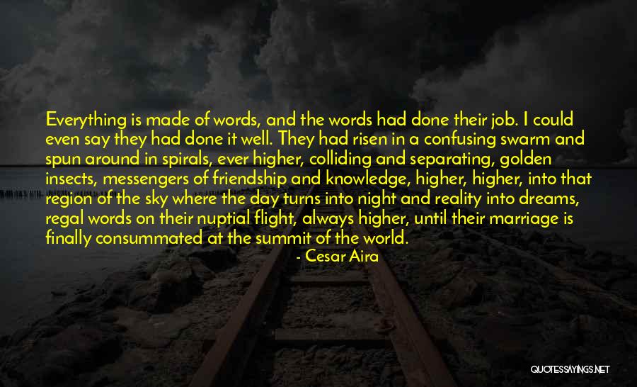 Messengers Day Quotes By Cesar Aira Messengers Day Quotes By Cesar Aira