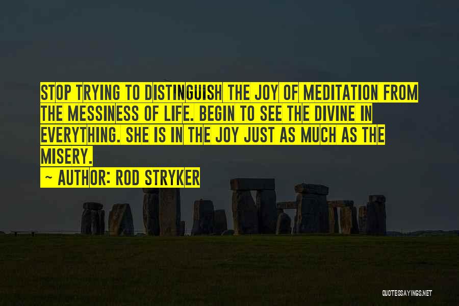 Messiness Of Life Quotes By Rod Stryker