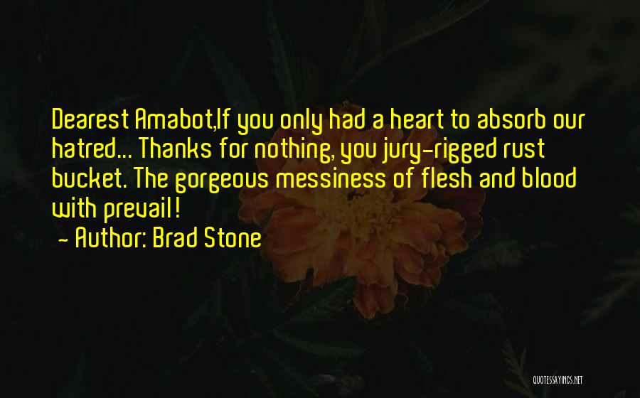 Messiness Quotes By Brad Stone