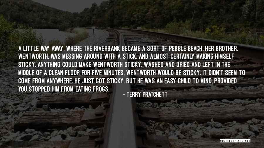 Messing Around Quotes By Terry Pratchett