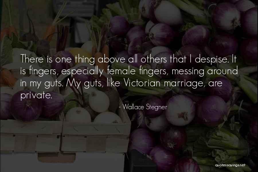 Messing Around Quotes By Wallace Stegner