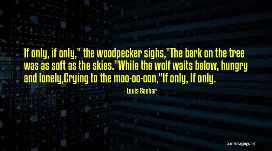 Messis House Quotes By Louis Sachar Messis House Quotes By Louis Sachar