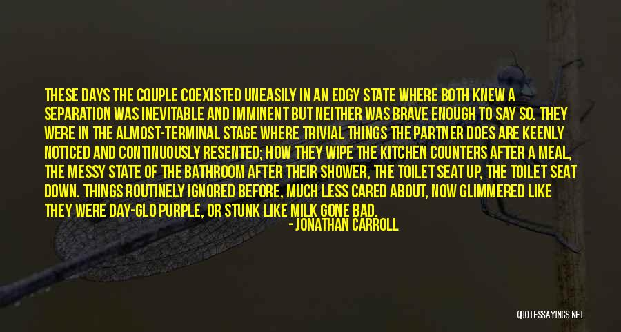 Messy Kitchen Quotes By Jonathan Carroll Messy Kitchen Quotes By Jonathan Carroll