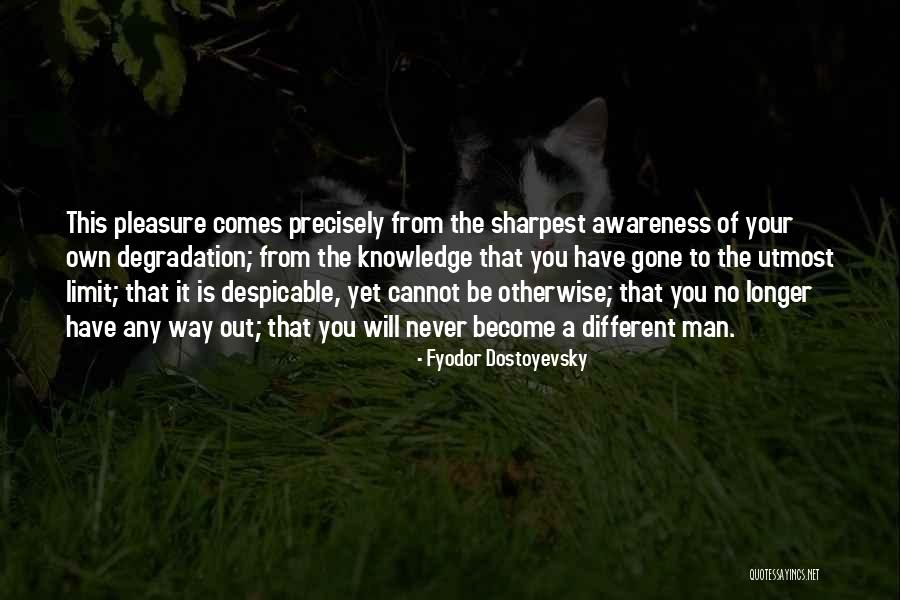 Mesta Robin Quotes By Fyodor Dostoyevsky Mesta Robin Quotes By Fyodor Dostoyevsky