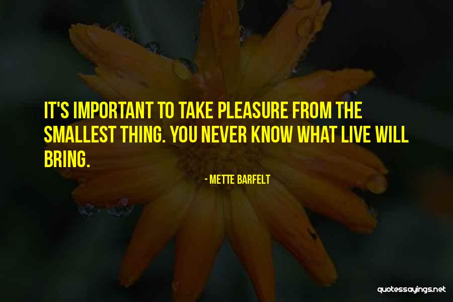 Mestre Acordeon Quotes By Mette Barfelt Mestre Acordeon Quotes By Mette Barfelt