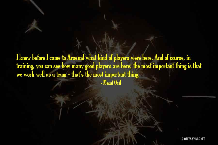 Mesut Ozil Quotes 1122726 Mesut Ozil Quotes 1122726