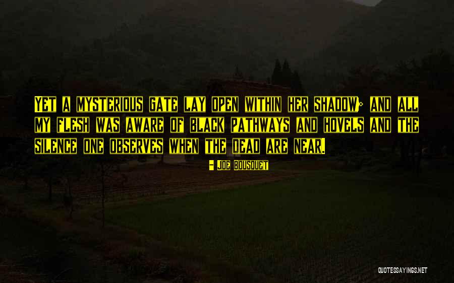 Meszaros Quotes By Joe Bousquet Meszaros Quotes By Joe Bousquet
