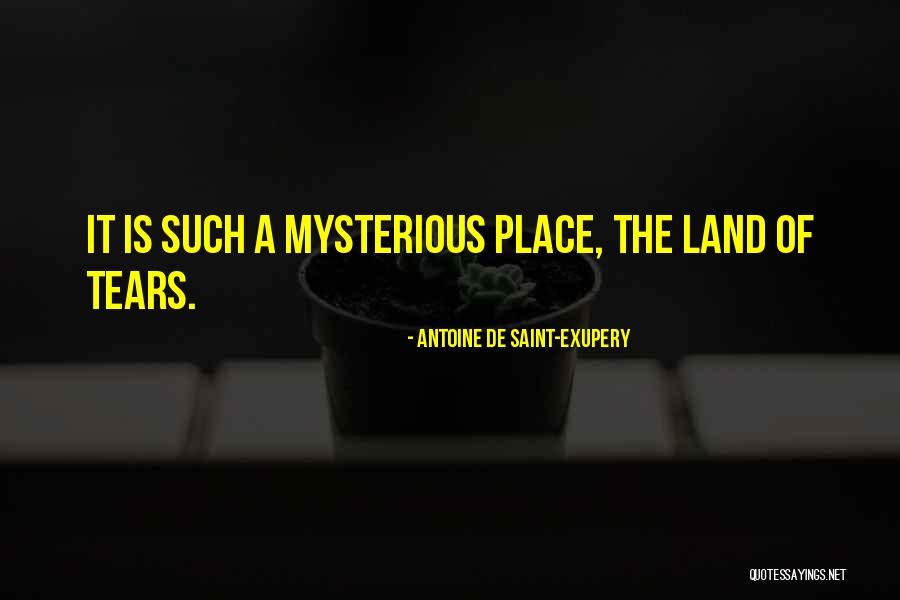 Meta Medium Quotes By Antoine De Saint-Exupery Meta Medium Quotes By Antoine De Saint-Exupery