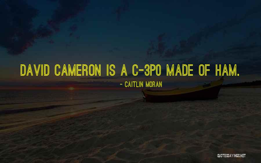 Meta Medium Quotes By Caitlin Moran Meta Medium Quotes By Caitlin Moran