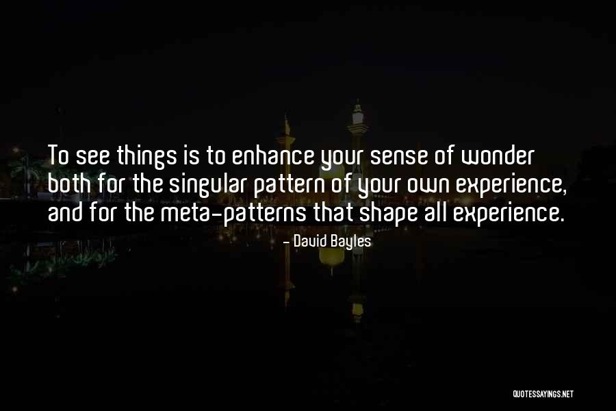 Meta Quotes By David Bayles Meta Quotes By David Bayles