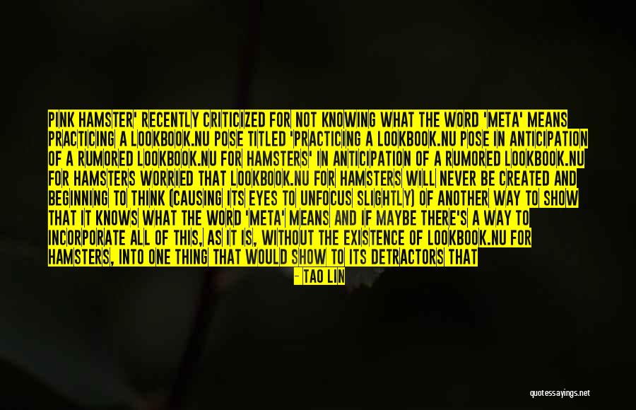 Meta Quotes By Tao Lin Meta Quotes By Tao Lin