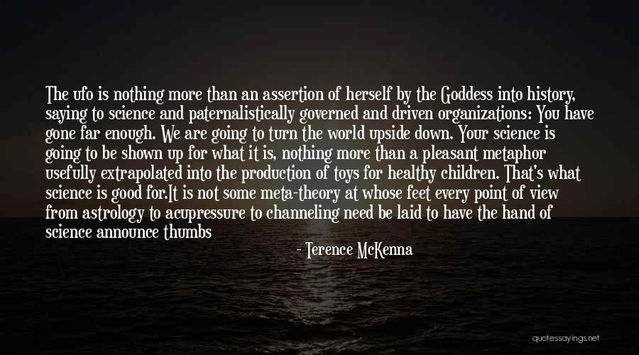 Meta Quotes By Terence McKenna Meta Quotes By Terence McKenna