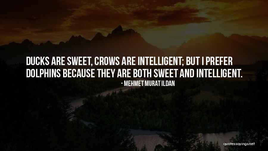 Metabolite Diet Quotes By Mehmet Murat Ildan Metabolite Diet Quotes By Mehmet Murat Ildan