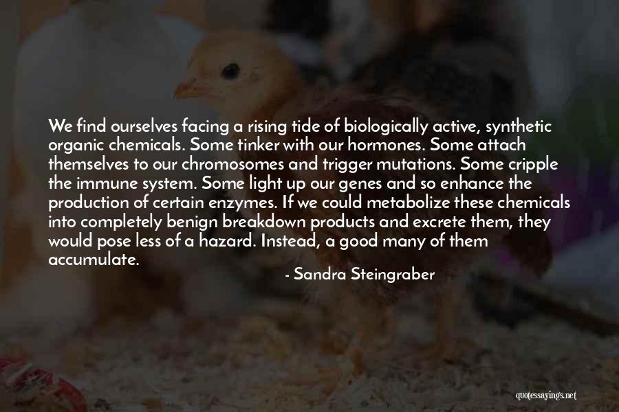 Metabolize Quotes By Sandra Steingraber Metabolize Quotes By Sandra Steingraber