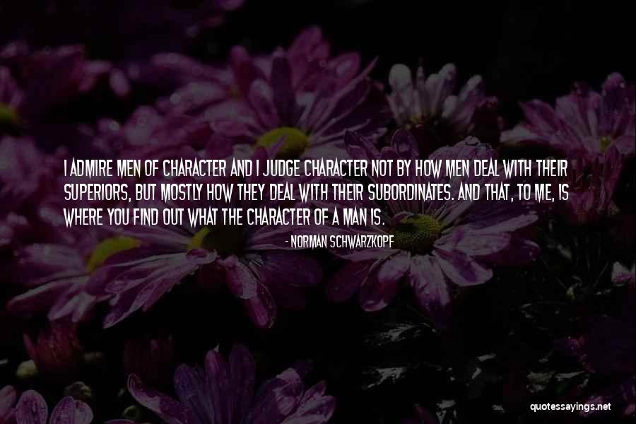 Metacognition Anchor Quotes By Norman Schwarzkopf