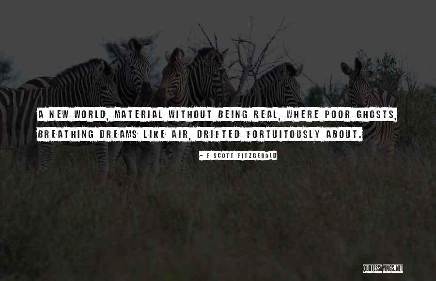 Metahemoglobina Quotes By F Scott Fitzgerald Metahemoglobina Quotes By F Scott Fitzgerald