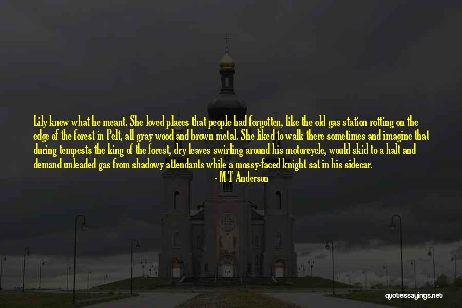 Metal Edge Quotes By M T Anderson Metal Edge Quotes By M T Anderson