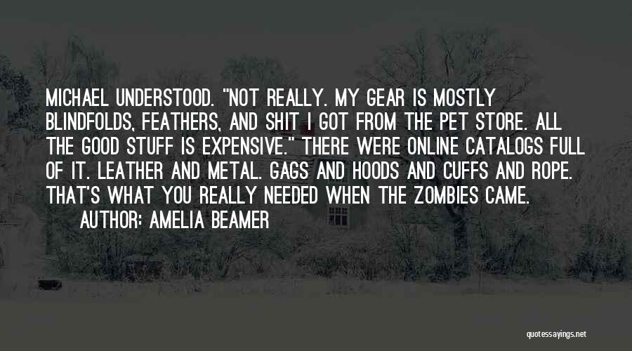 Metal Gear Quotes By Amelia Beamer