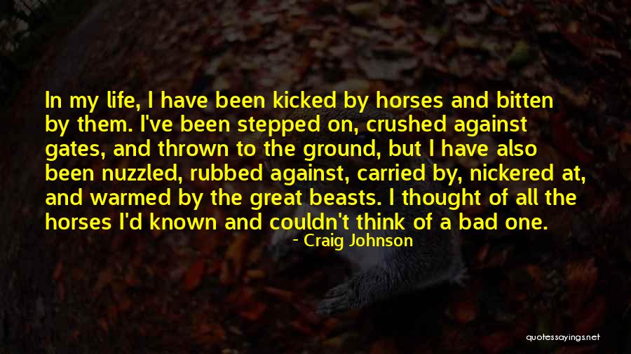 Metal Gear Rising Doktor Quotes By Craig Johnson Metal Gear Rising Doktor Quotes By Craig Johnson