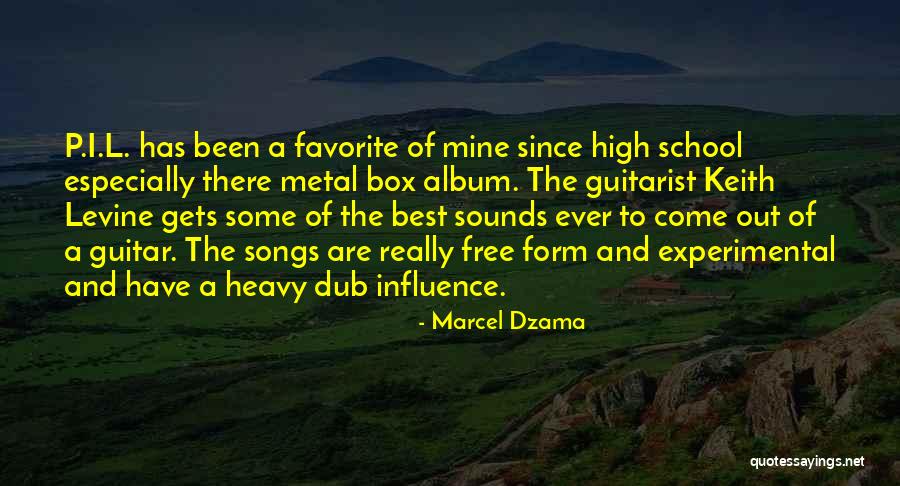 Metal Guitarist Quotes By Marcel Dzama