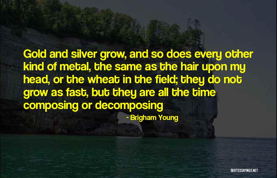 Metal Head Quotes By Brigham Young Metal Head Quotes By Brigham Young