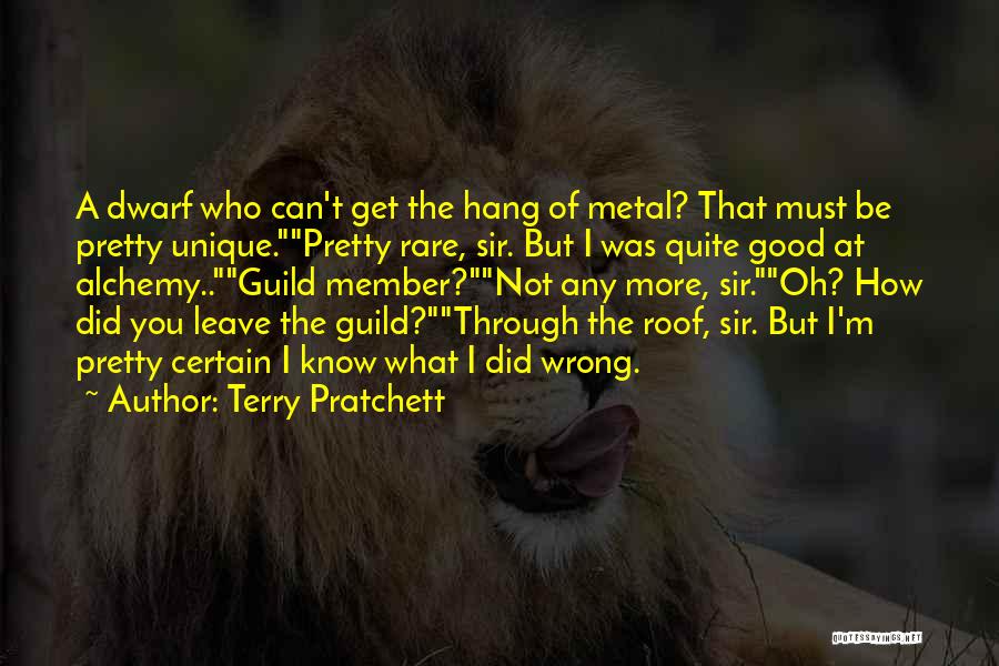 Metal Roof Quotes By Terry Pratchett