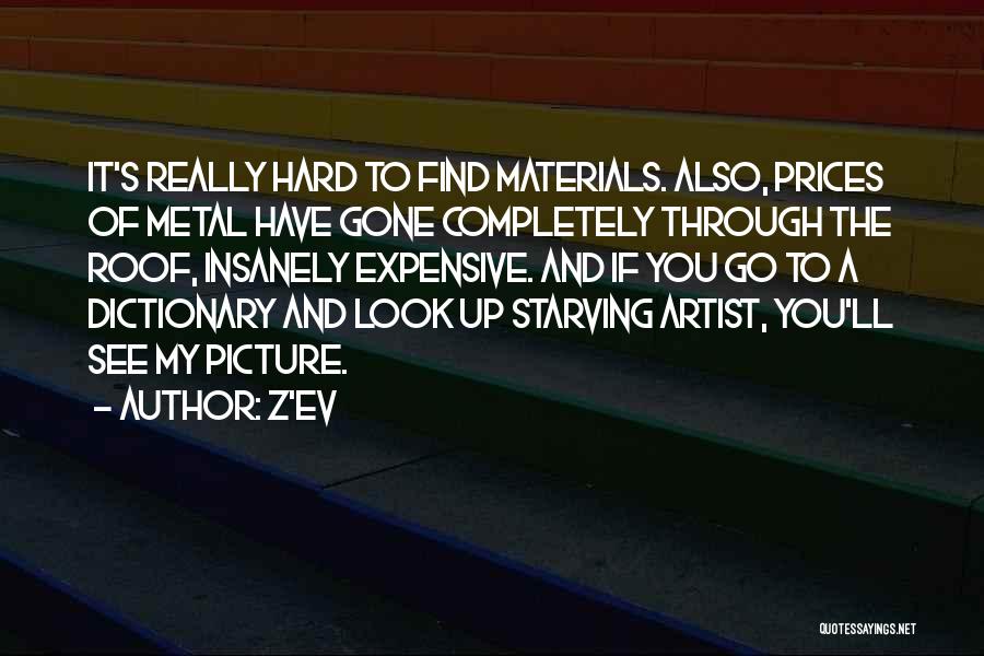 Metal Roof Quotes By Z'EV