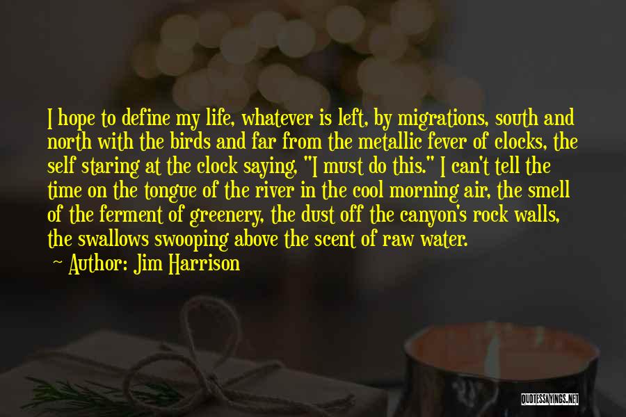 Metallic Quotes By Jim Harrison