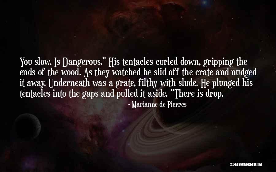 Metalsider Quotes By Marianne De Pierres Metalsider Quotes By Marianne De Pierres
