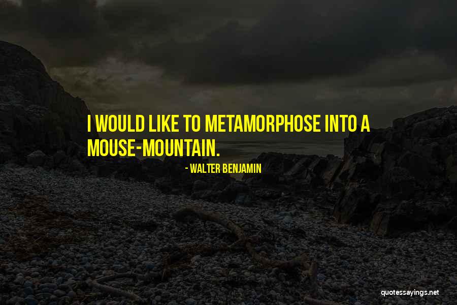 Metamorphose Quotes By Walter Benjamin Metamorphose Quotes By Walter Benjamin