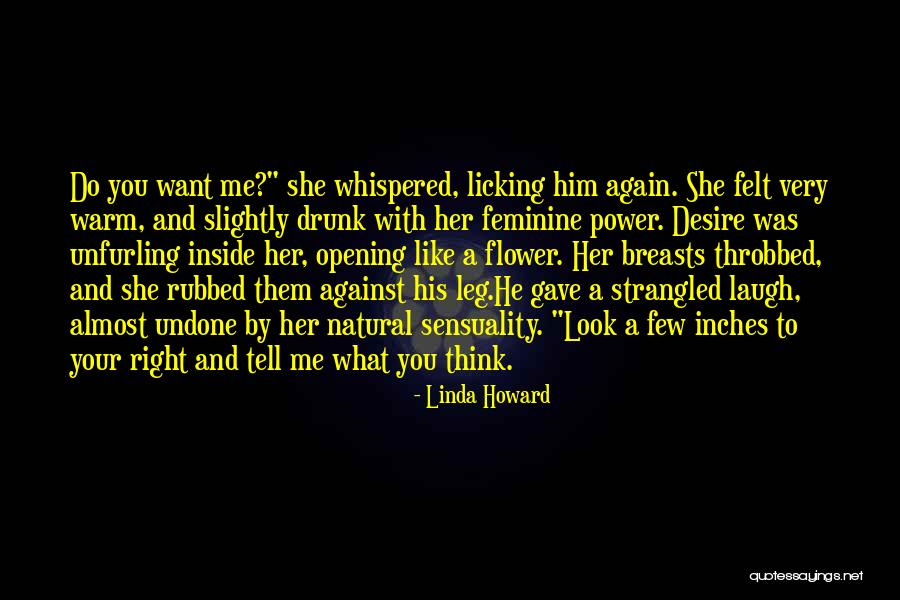 Metanor Quotes By Linda Howard Metanor Quotes By Linda Howard