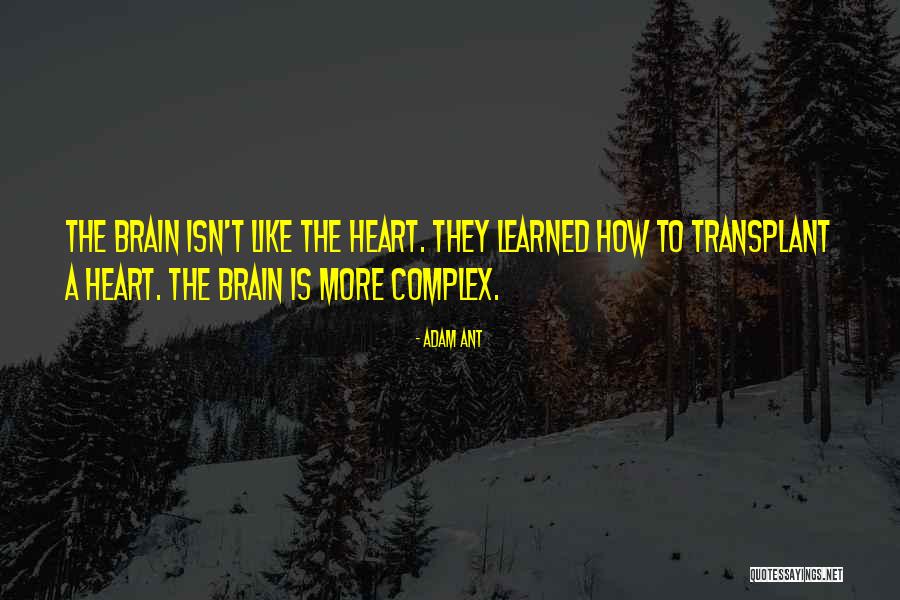 Metaphilosophy Quotes By Adam Ant Metaphilosophy Quotes By Adam Ant