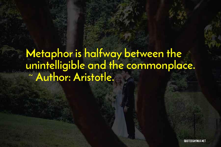 Metaphor Quotes By Aristotle.