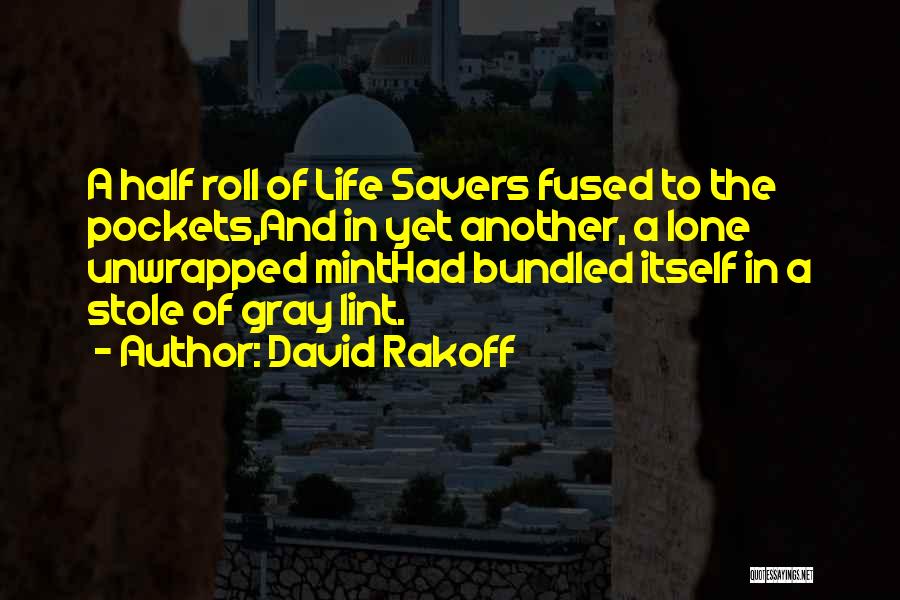 Metaphor Quotes By David Rakoff